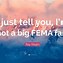Image result for Logo FEMA IPB
