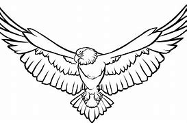 Image result for Black and White Line Drawing Eagle