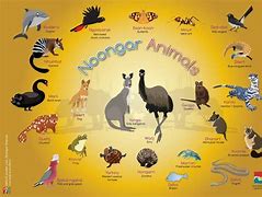 Image result for Australian Animal Stickers for Kids