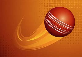 Image result for Cricket Vector Graphics