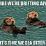 Image result for Funny Otter Jokes