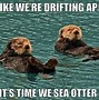Image result for Otter Jokes