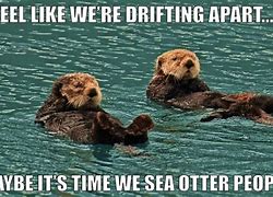 Image result for Otter Save the World Memes
