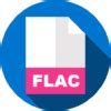Image result for FLAC File:Logo