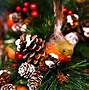 Image result for Christmas Animal Memes Clean