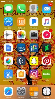 Image result for Standard iPhone Home Screen