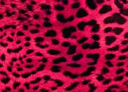 Image result for Pink Cheetah Print Design