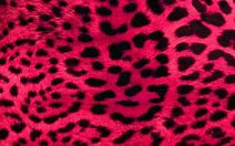 Image result for Desktop Wallpaper Pink Lepord Print