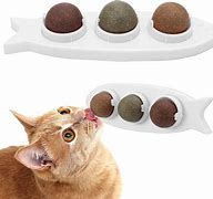 Image result for Catnip Chew Toys for Cats