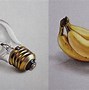Image result for Different Objects Drawings