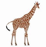 Image result for Illustration of a Giraffe in Different Angles