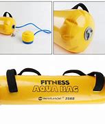 Image result for 1 Lb Weight Bag