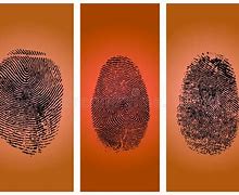 Image result for Fingerprint Background