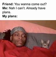 Image result for Funny Cat Posts