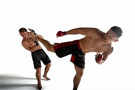 Image result for Mixed Martial Arts Techniques
