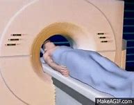 Image result for Ovary On CT Scan