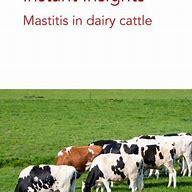 Image result for Mastitis Cow