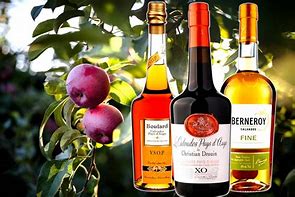 Image result for calvados