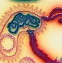 Image result for Bacteria Art