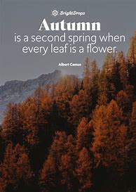 Image result for Nature Quotes