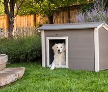 Image result for Dog Housing