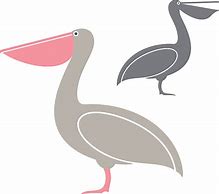 Image result for Pink Pelican On the Beach Clip Art