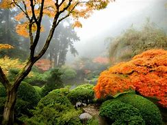 Image result for Best Japanese Garden Plants