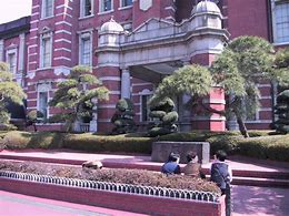 Image result for University of Tokyo Activities