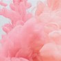 Image result for Pink Floral Wallpaper MacBook