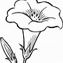Image result for Free Line Art Drawings Flowers