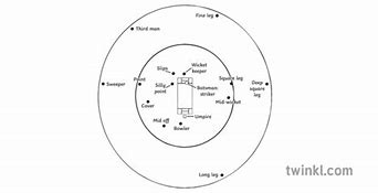 Image result for Cricket Fielding Positions