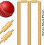 Image result for Wicket Clip Art