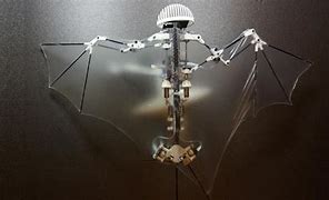 Image result for Diju Drone Bat
