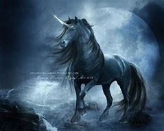 Image result for Black Horse Unicorn