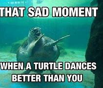 Image result for Strong Turtle Memes