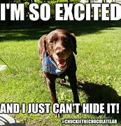 Image result for So Excited Funny
