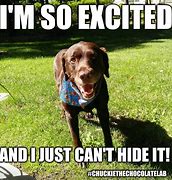 Image result for Excited Funny