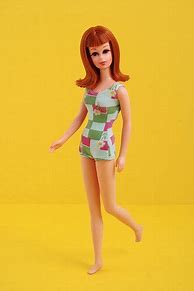 Image result for Flexible Barbie Dolls