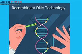 Image result for Construction of Recombinant DNA