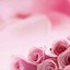 Image result for Pink Cell Phone Wallpaper