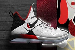 Image result for Nike Floom Basketball