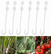 Image result for Vine Hooks