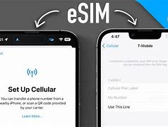 Image result for Esim Switch