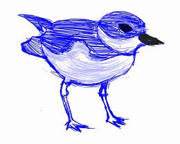 Image result for Small Bird Sketch