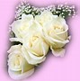 Image result for Single White Rose Flower