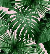 Image result for Wallpaper Small Green Leaves