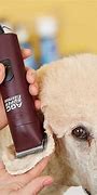 Image result for Animal Clippers