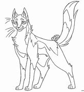 Image result for Warrior Cats Coloring Book