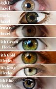 Image result for Amber vs Hazel Eye Color