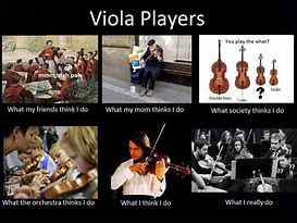 Image result for Orchestra Memes Cello